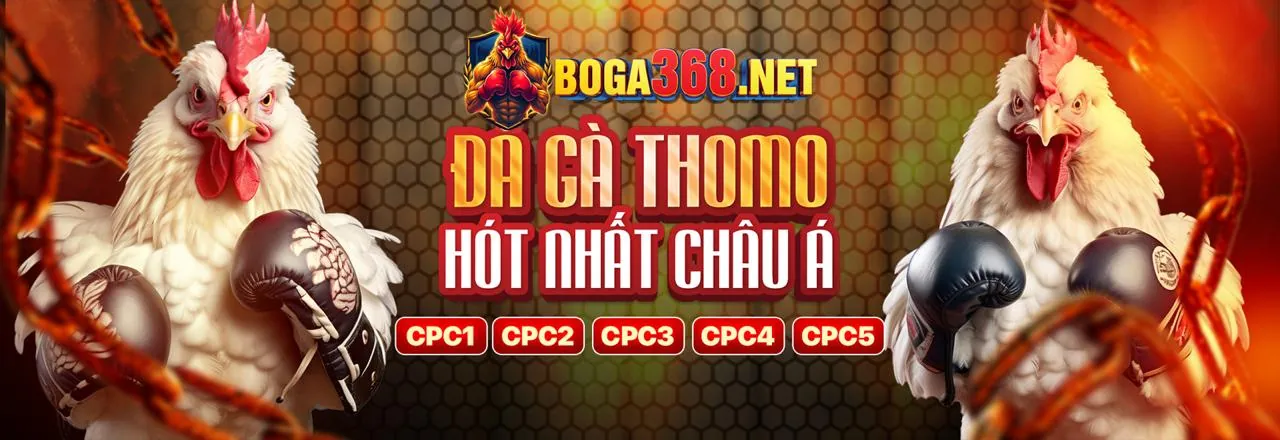 rik vip thu thập thông tin cá nhân để cung cấp dịch vụ giải trí trực tuyến tốt nhất