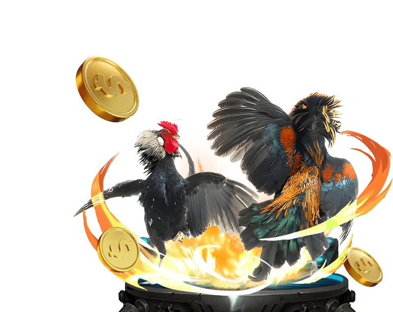 Cá cược bóng rổ rik vip